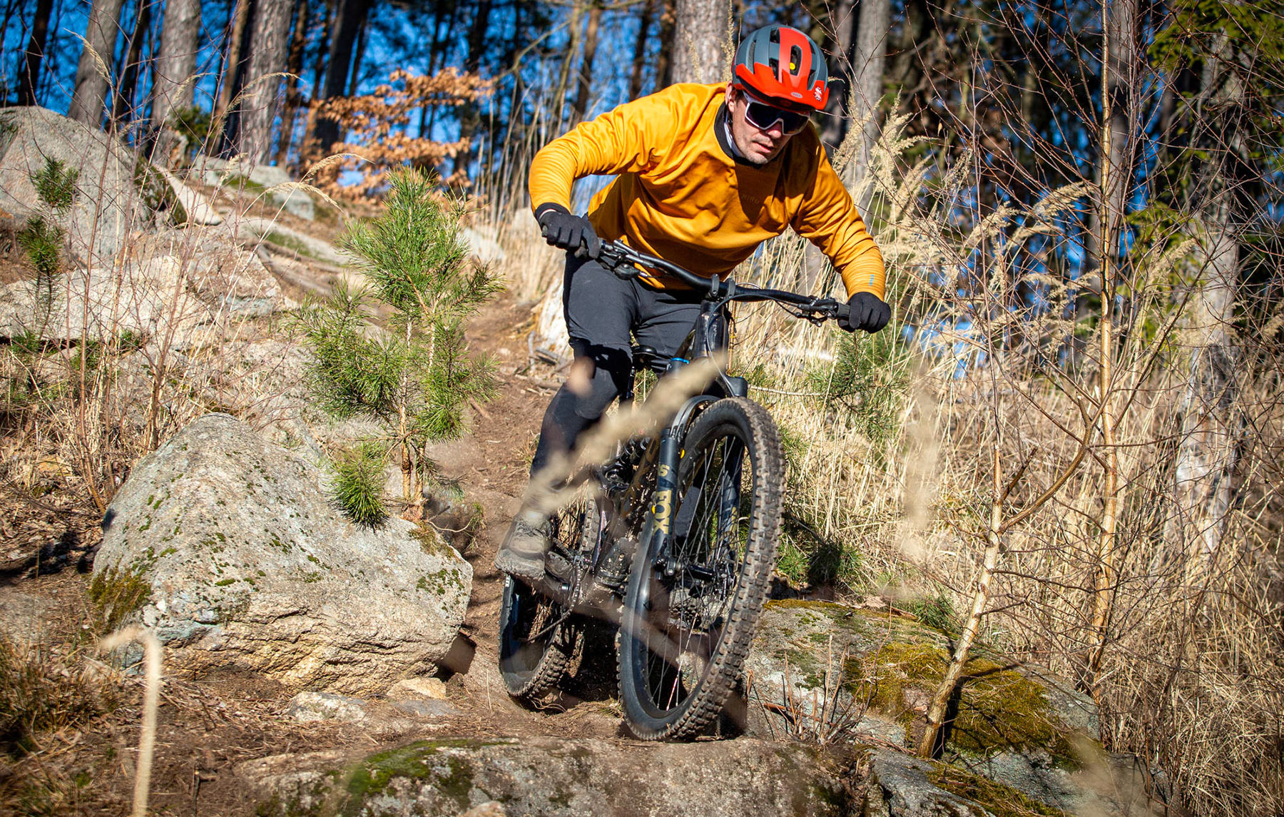 Orbea Rise LT & Occam LT