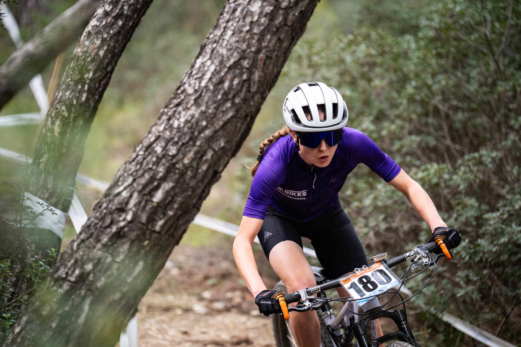 Salamina 2025 - esk rozjet