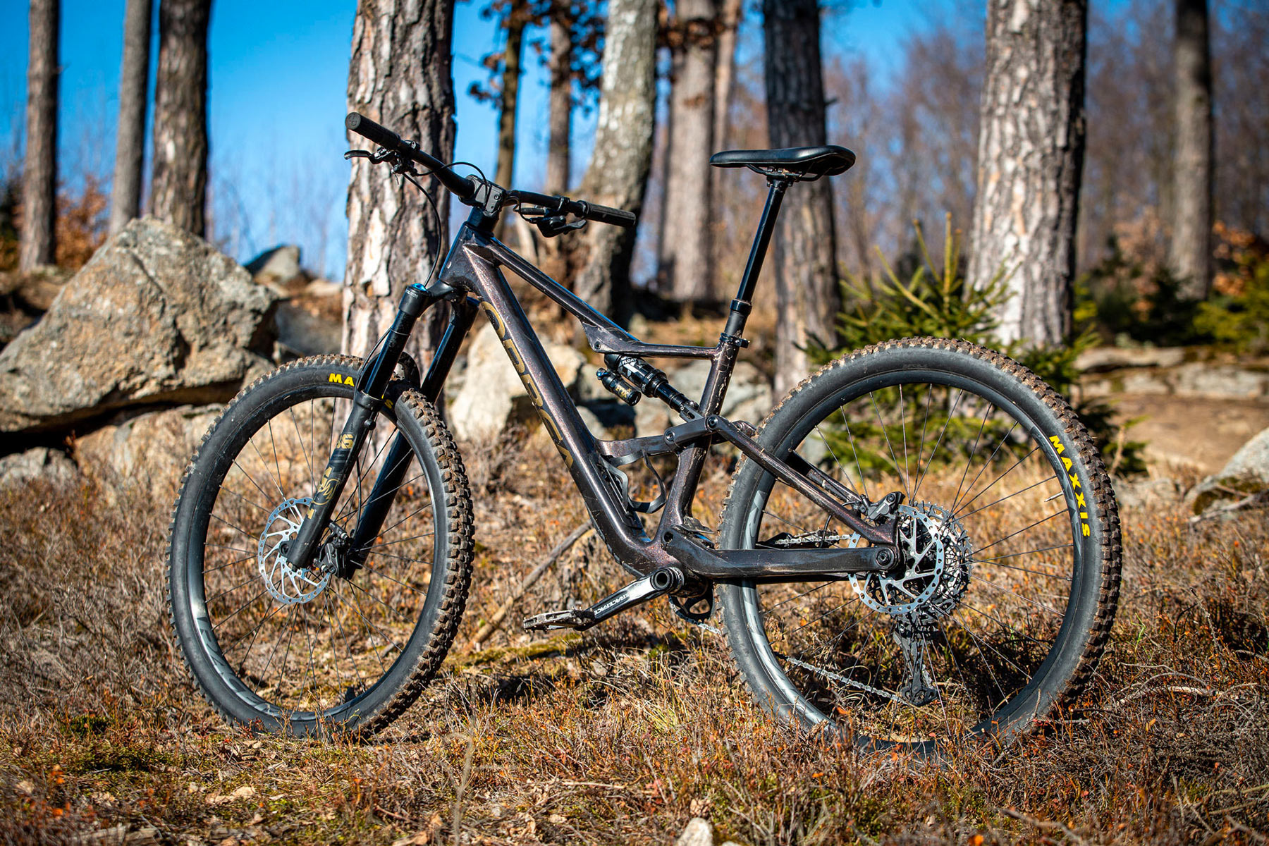 Orbea Rise LT & Occam LT