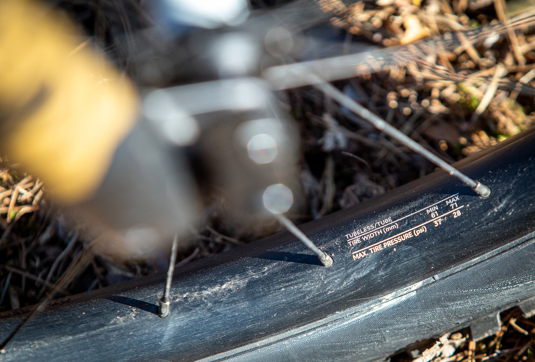 Orbea Rise LT & Occam LT