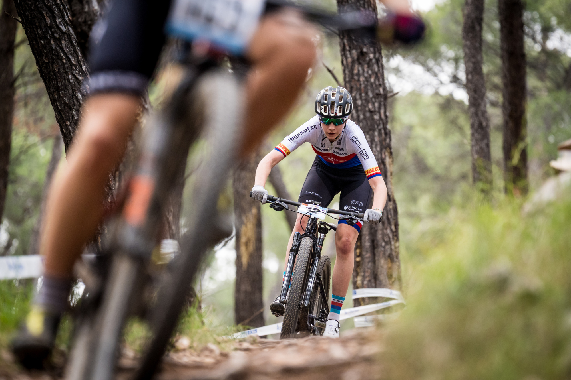 Salamina 2025 - esk rozjet