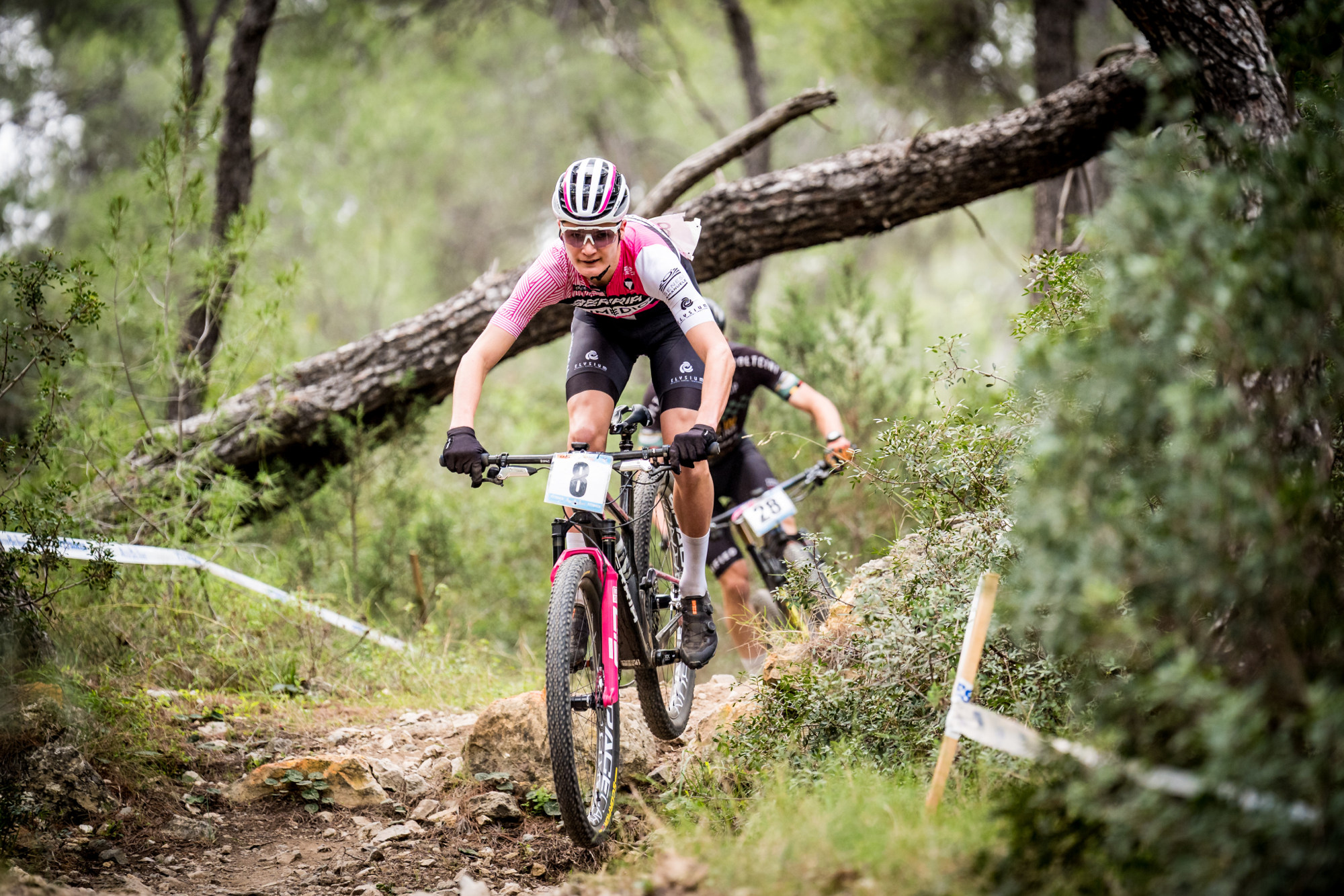 Salamina 2025 - esk rozjet