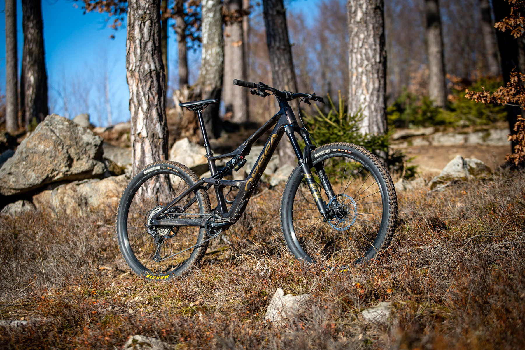 Orbea Rise LT & Occam LT