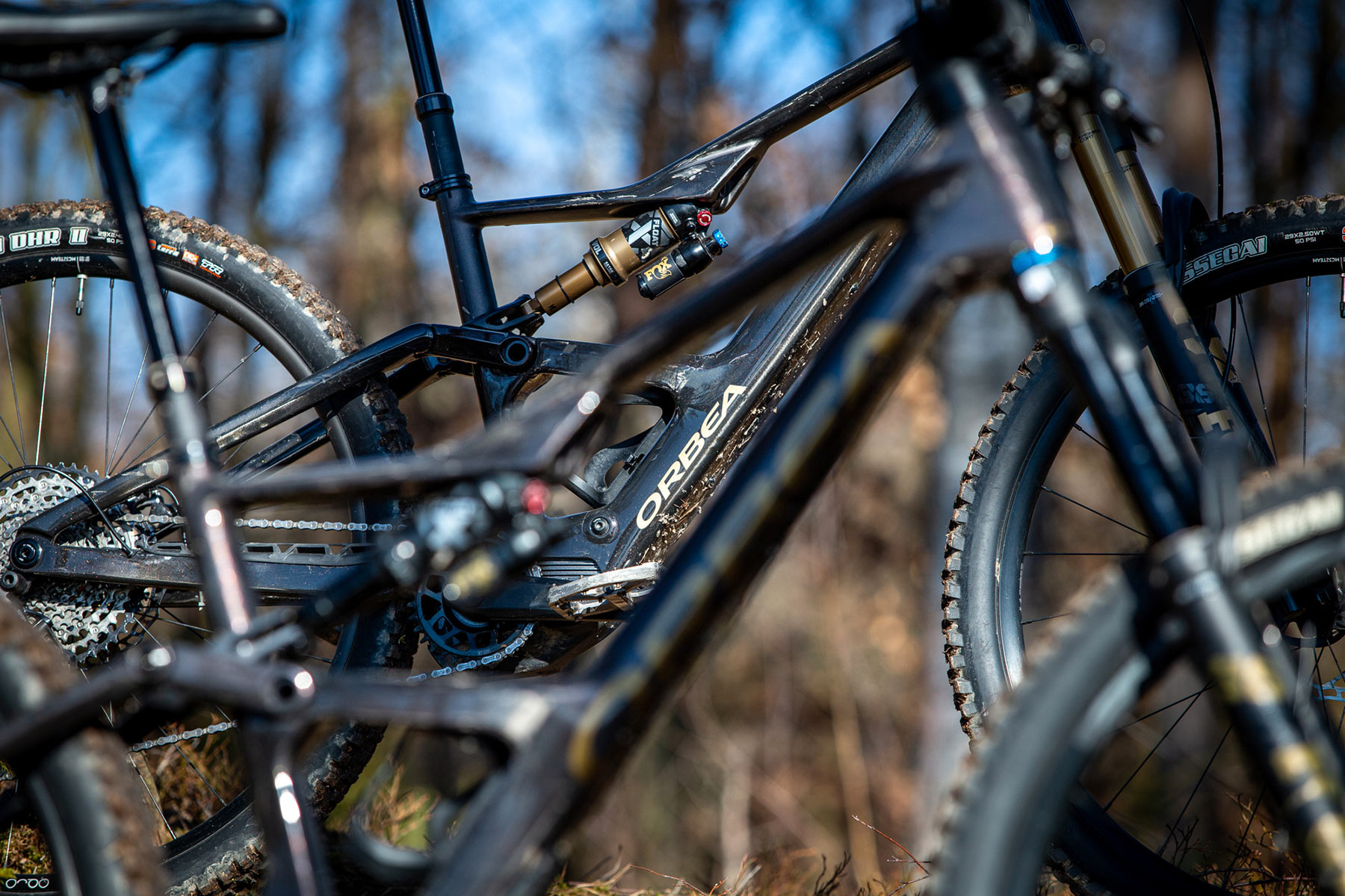 Orbea Rise LT & Occam LT