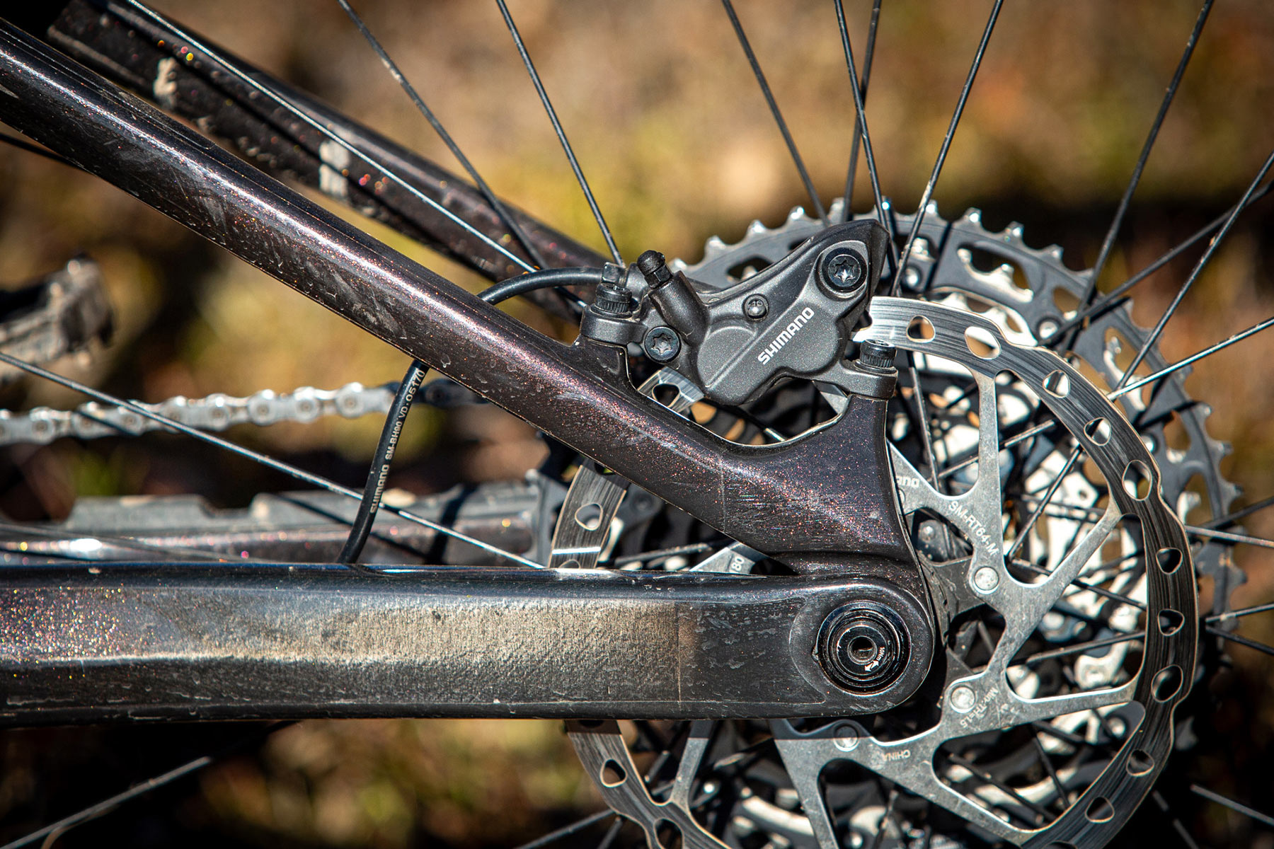 Orbea Rise LT & Occam LT