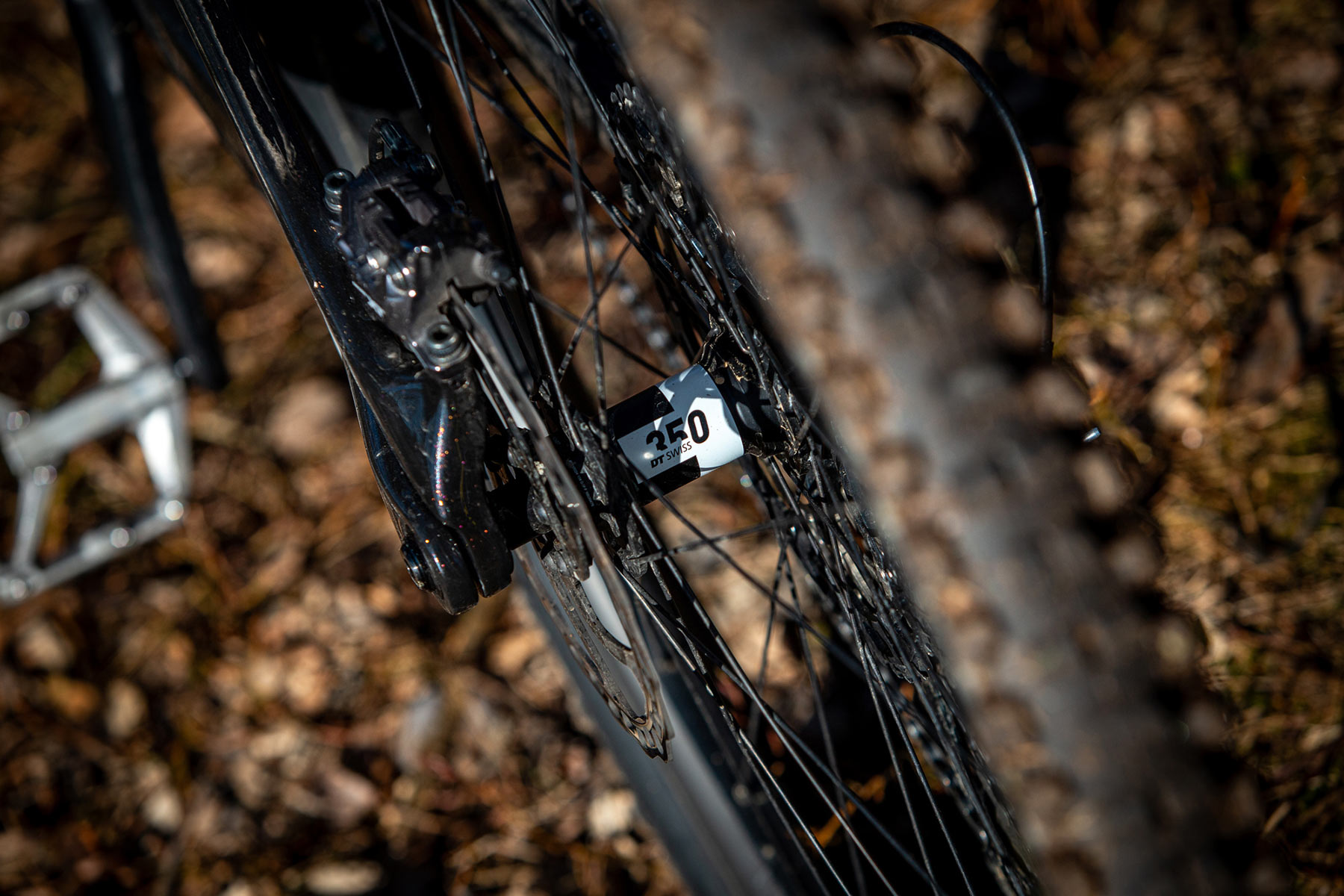 Orbea Rise LT & Occam LT