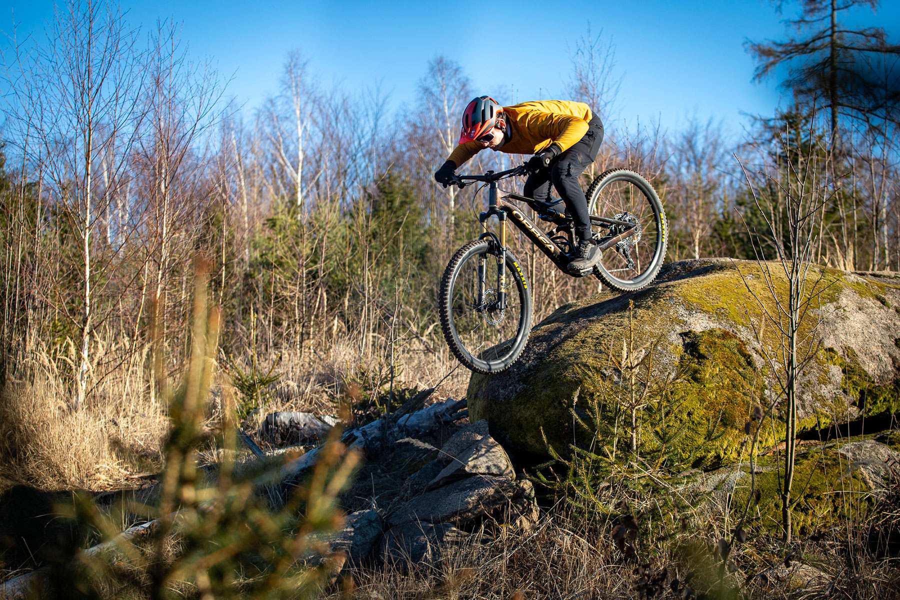 Orbea Rise LT & Occam LT