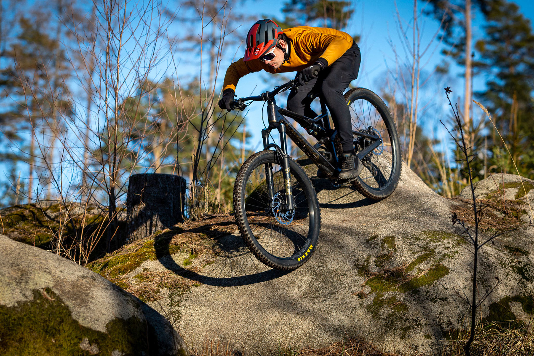 Orbea Rise LT & Occam LT