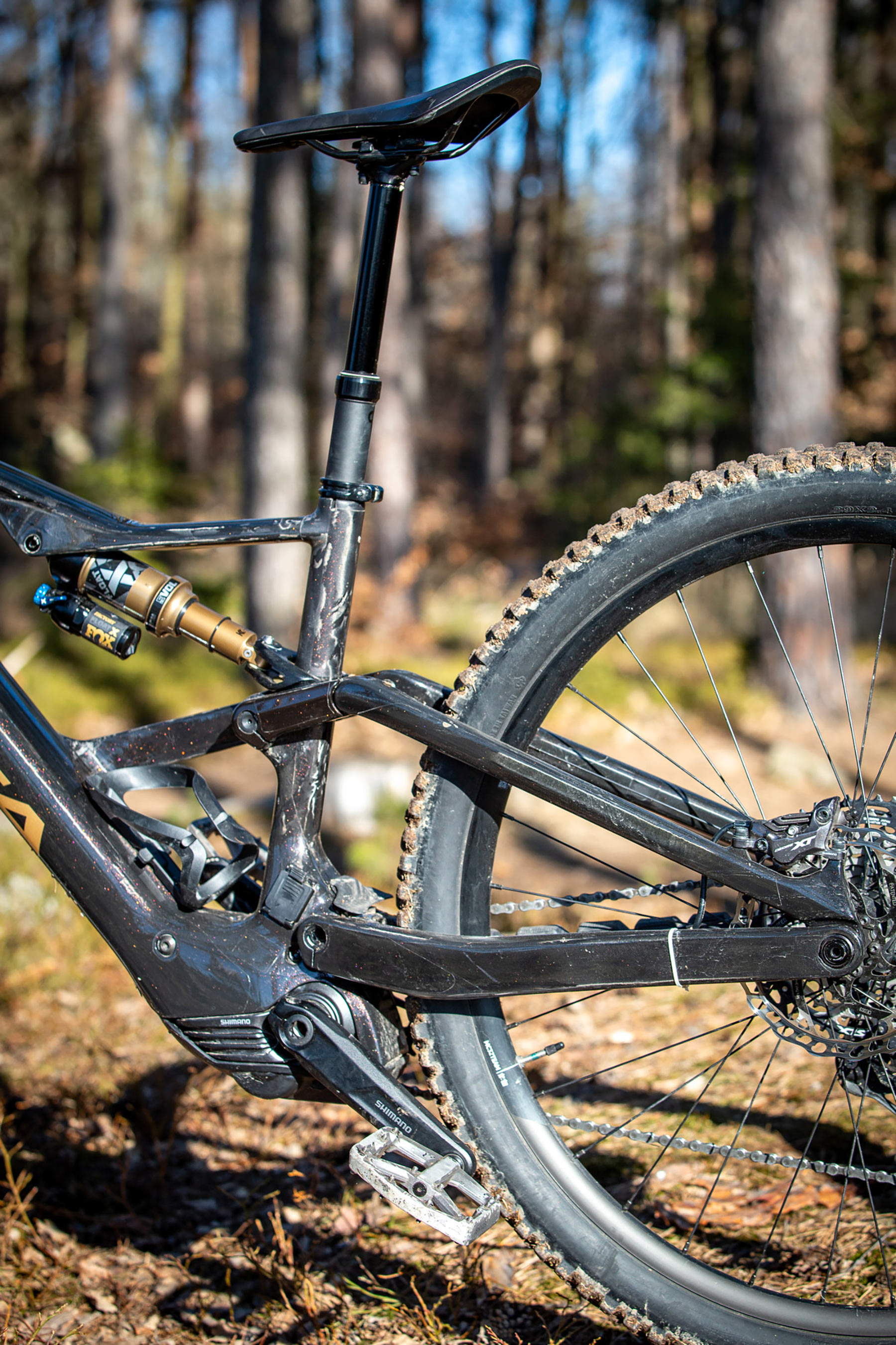 Orbea Rise LT & Occam LT