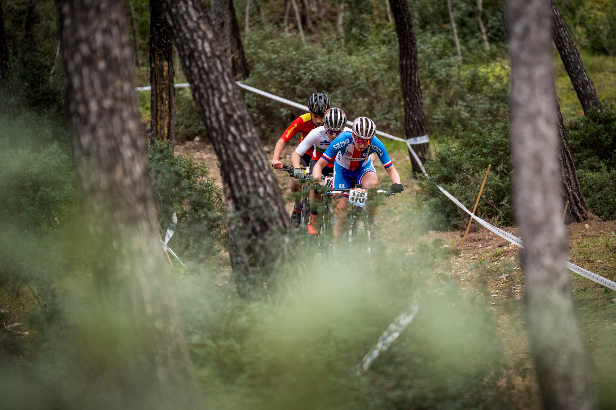 Salamina 2025 - esk rozjet