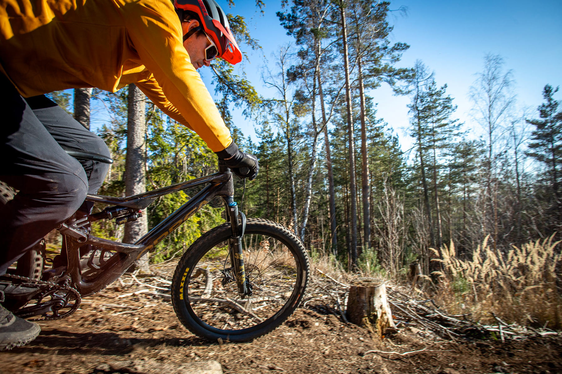 Orbea Rise LT & Occam LT