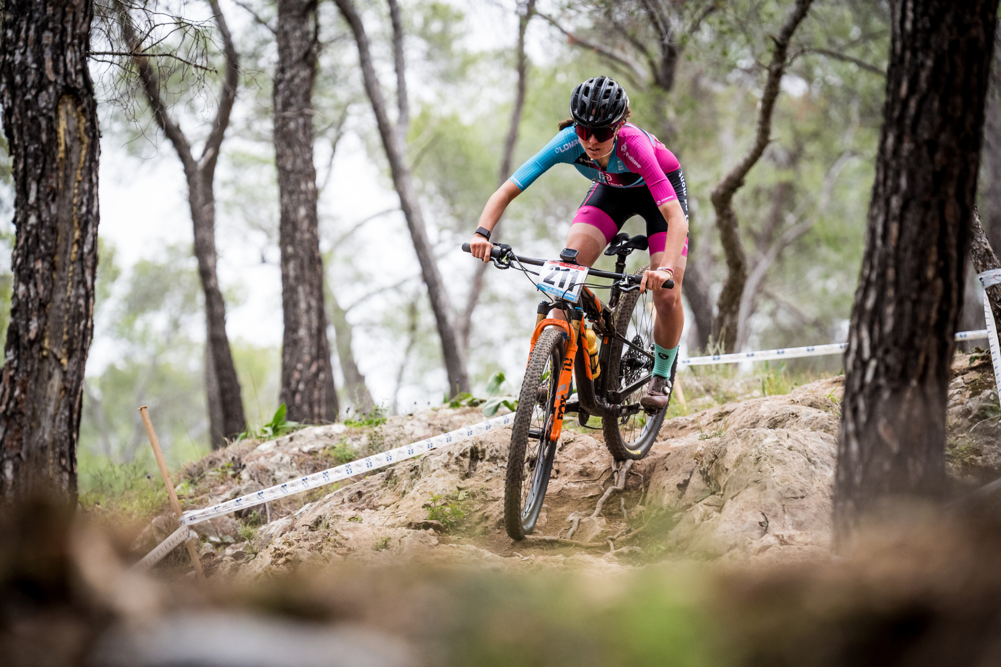 Salamina 2025 - esk rozjet