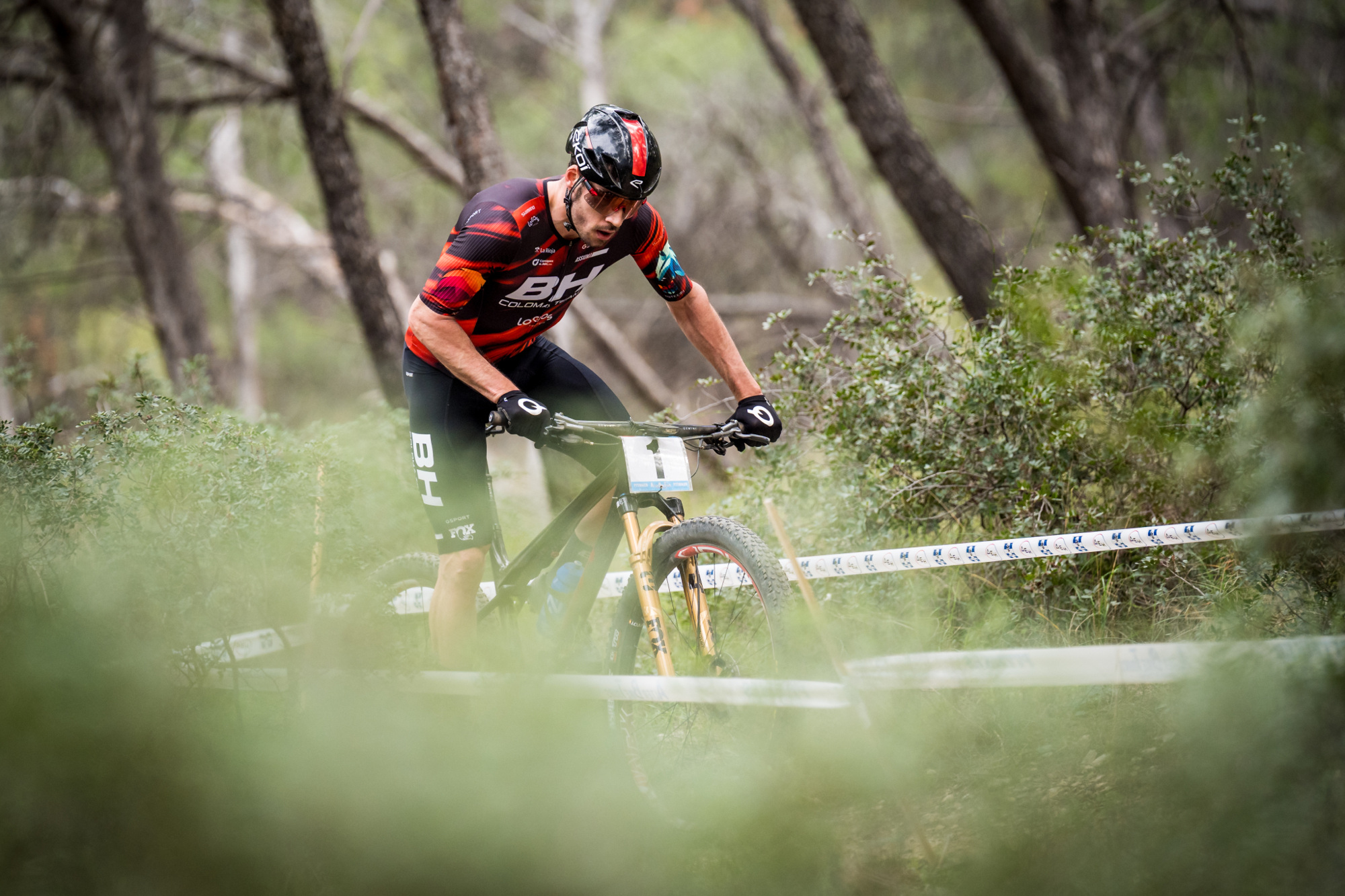 Salamina 2025 - esk rozjet