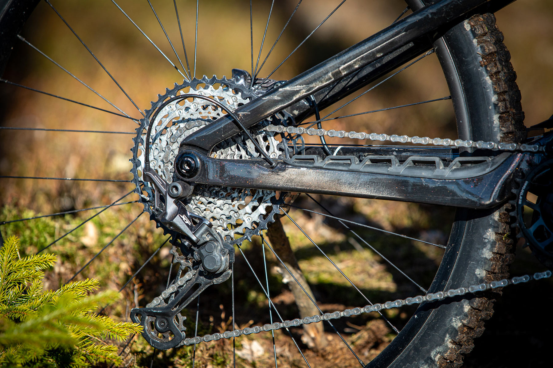 Orbea Rise LT & Occam LT