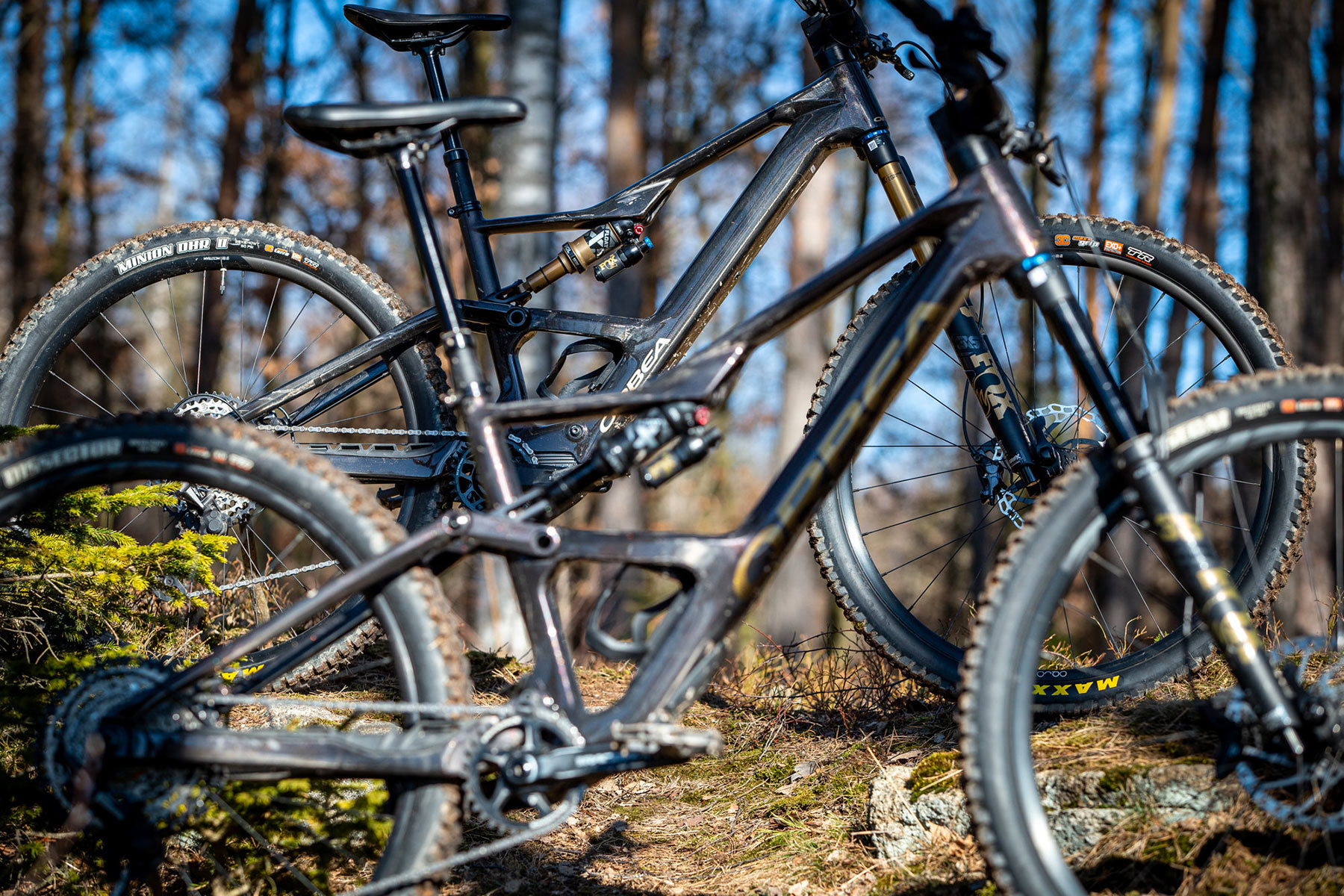 Orbea Rise LT & Occam LT