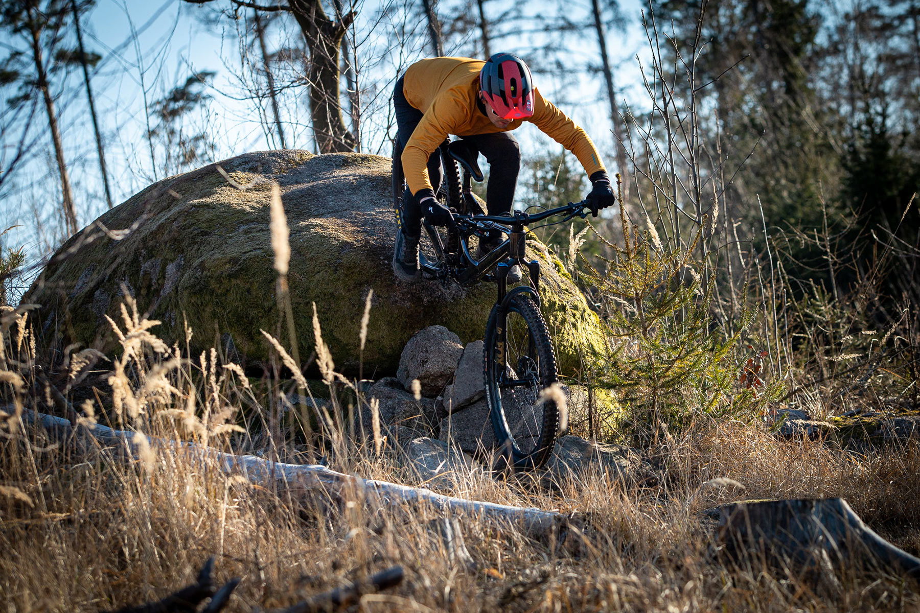 Orbea Rise LT & Occam LT