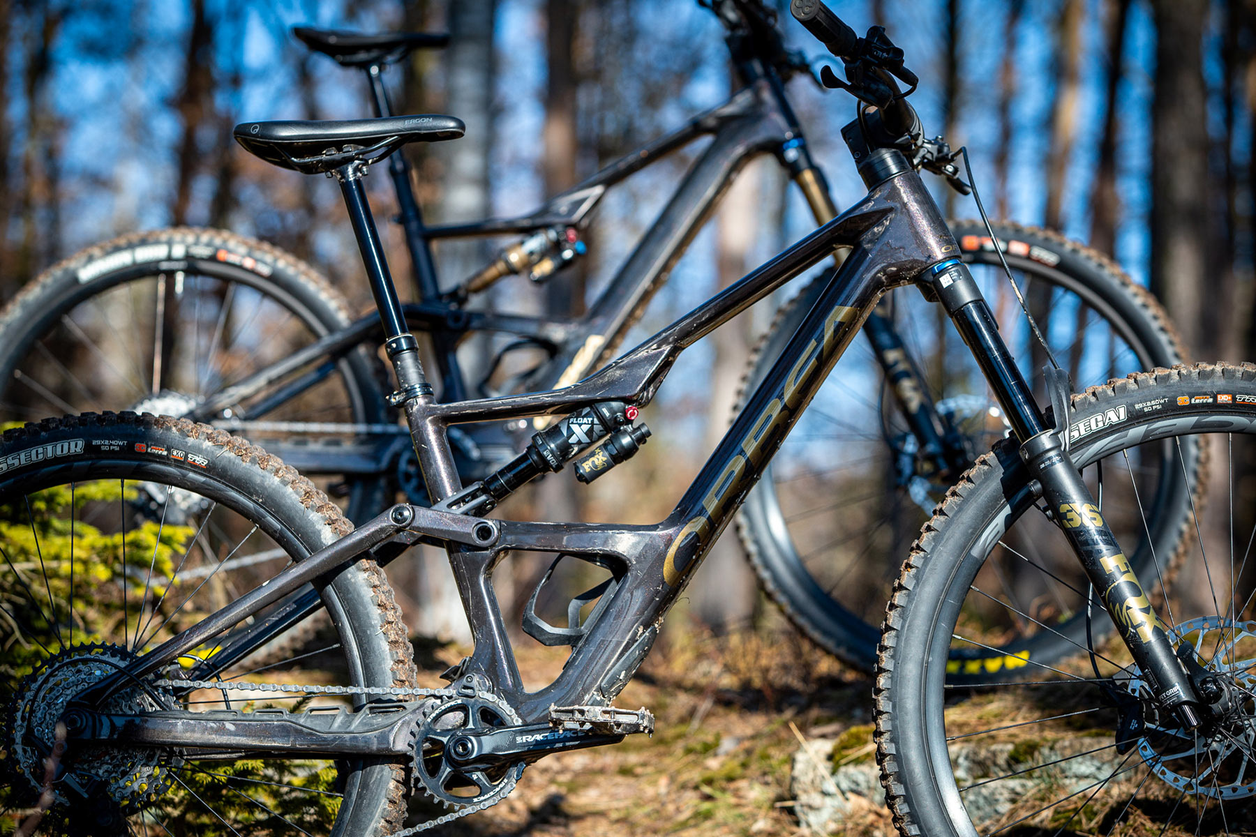 Orbea Rise LT & Occam LT