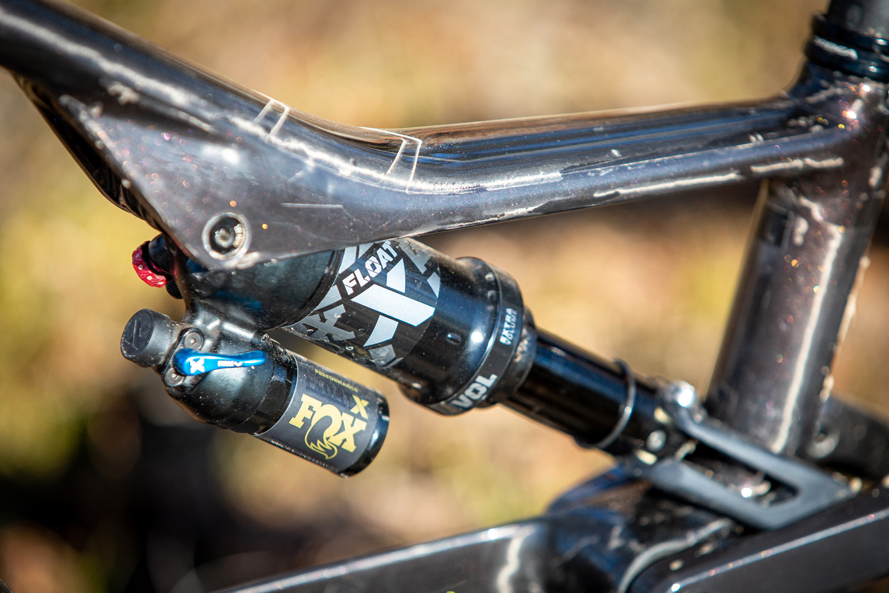 Orbea Rise LT & Occam LT