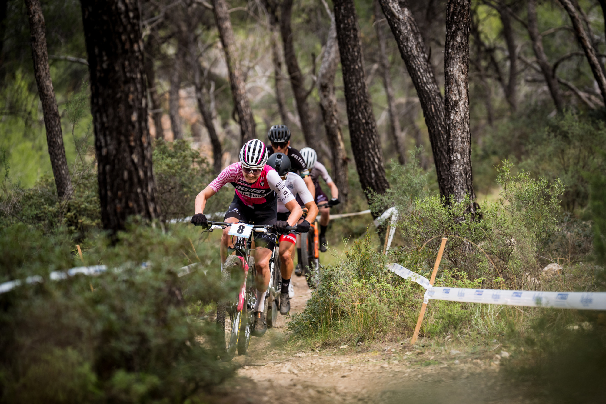 Salamina 2025 - esk rozjet