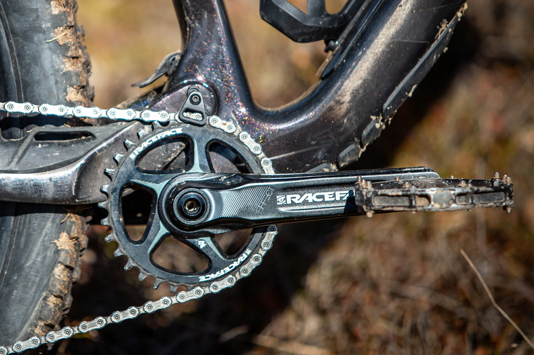 Orbea Rise LT & Occam LT