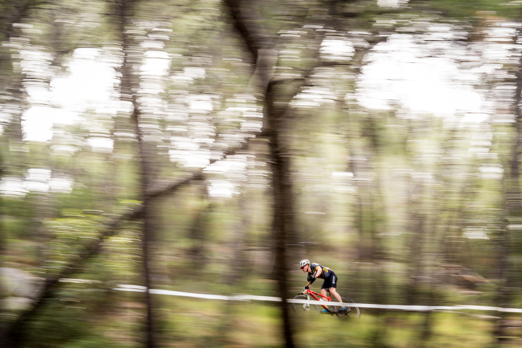 Salamina 2025 - esk rozjet