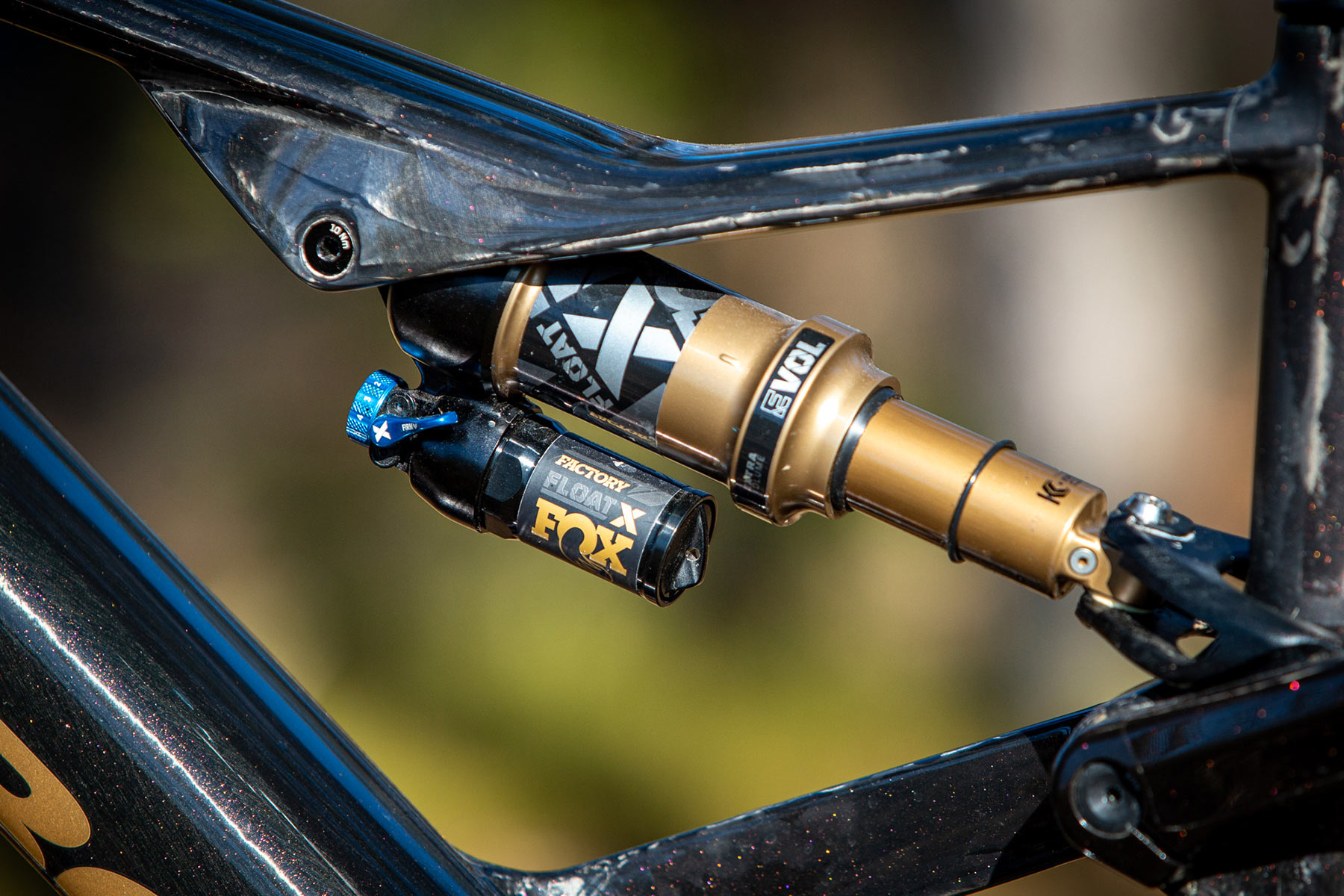 Orbea Rise LT & Occam LT