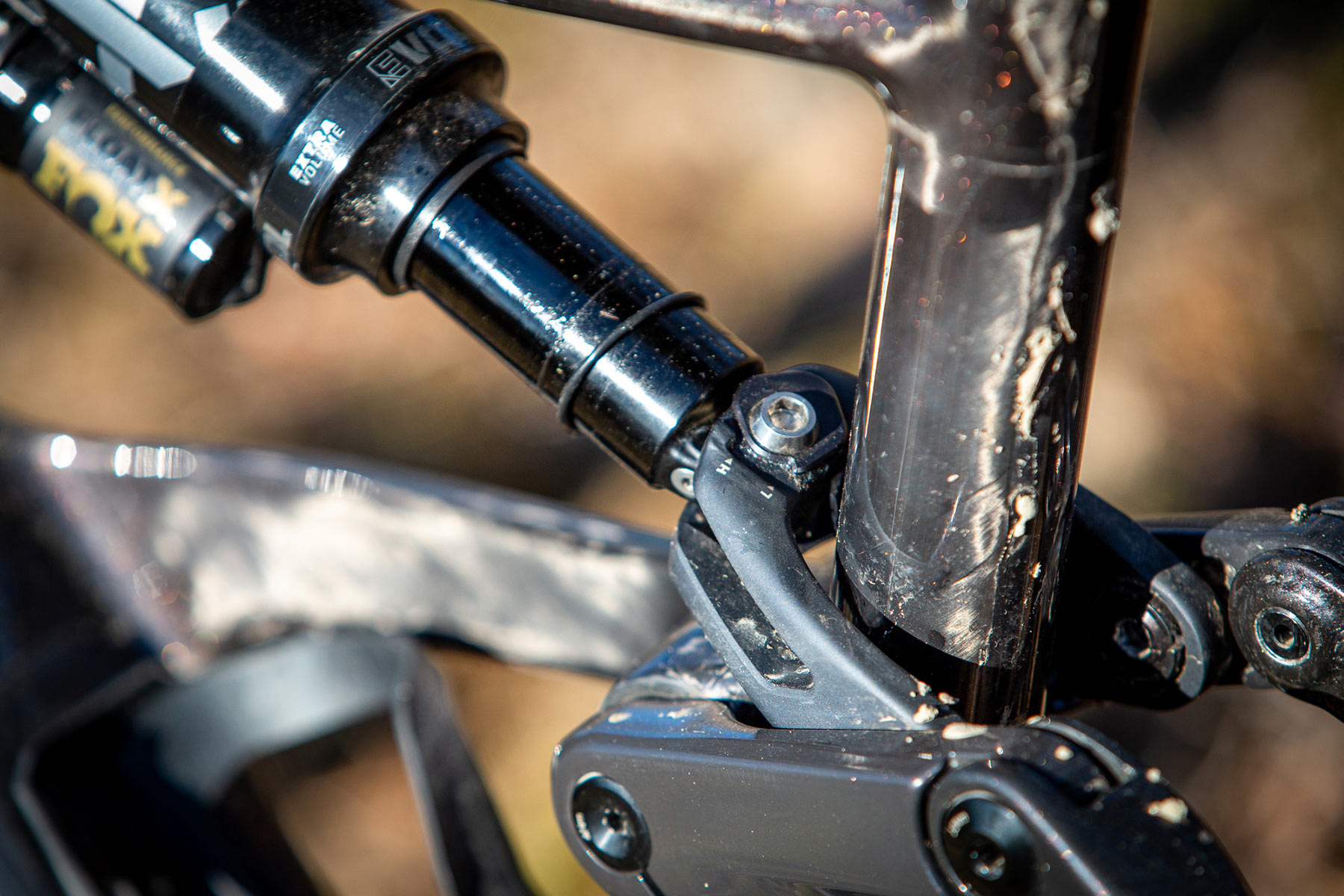 Orbea Rise LT & Occam LT