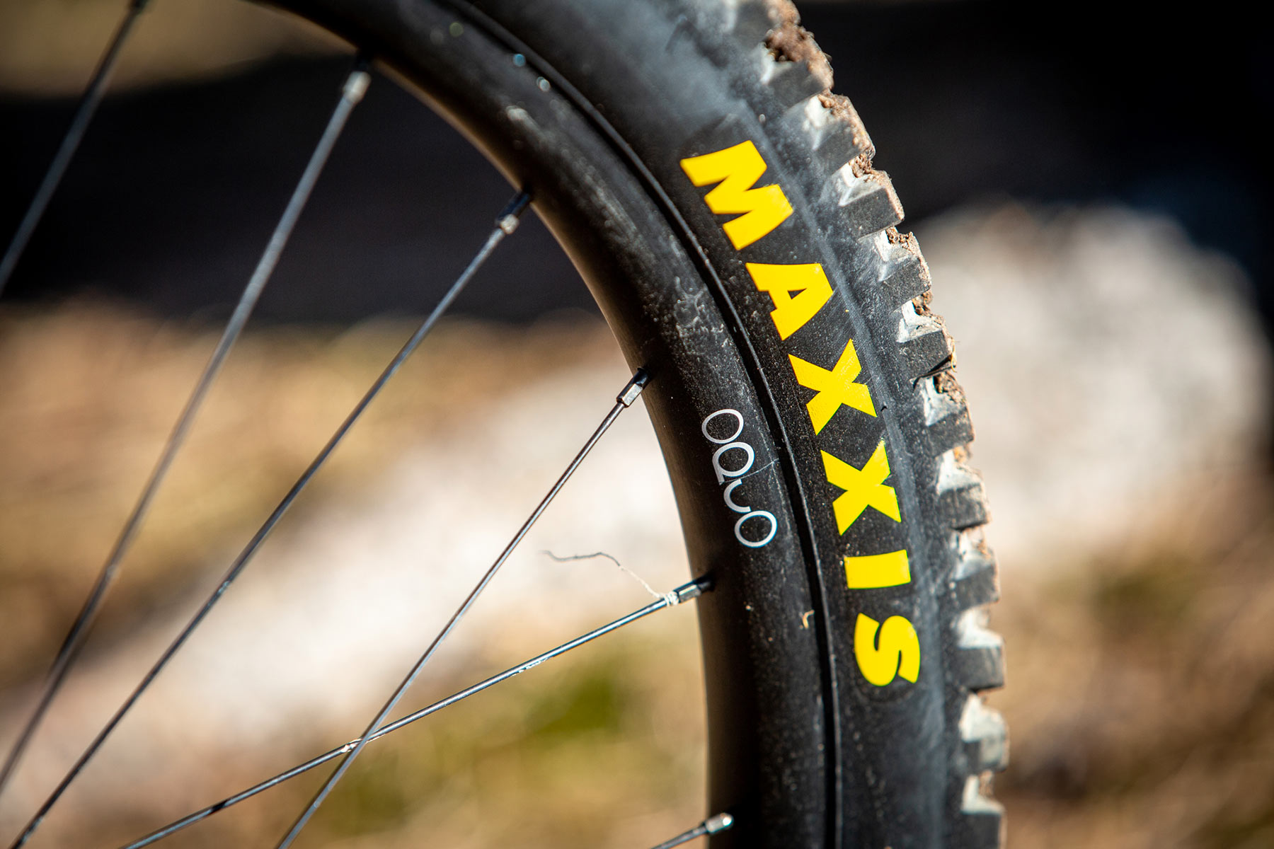 Orbea Rise LT & Occam LT