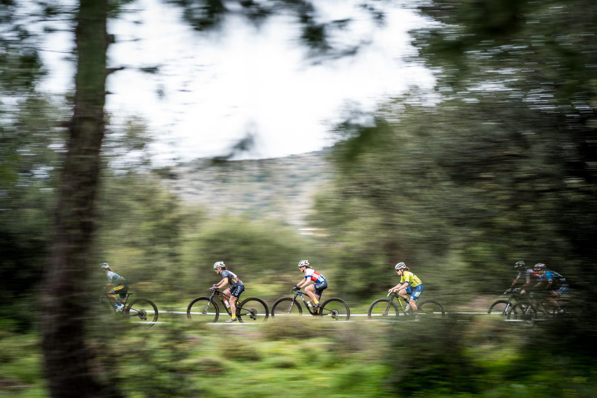 Salamina 2025 - esk rozjet