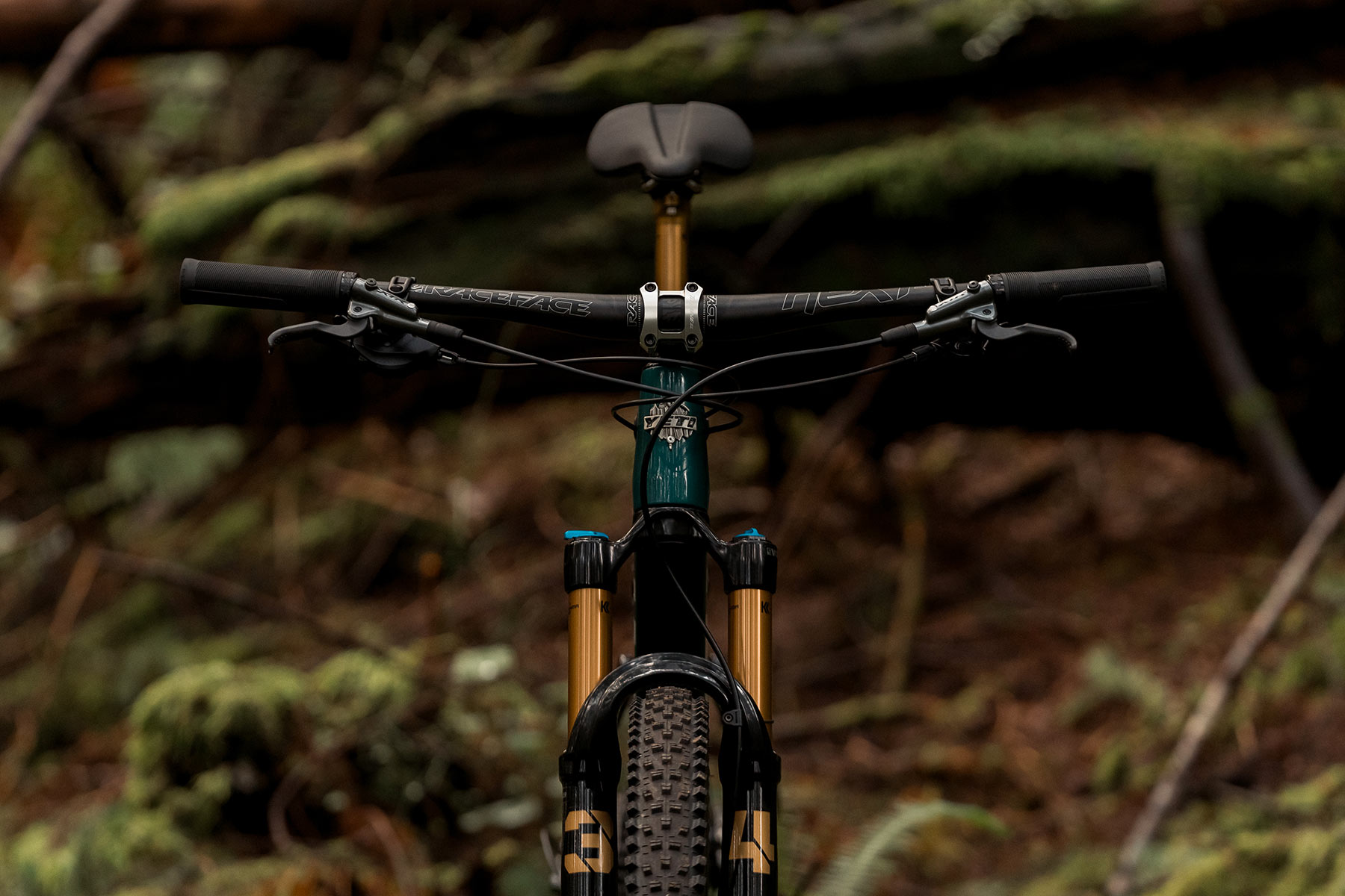 Race Face Turbine SL