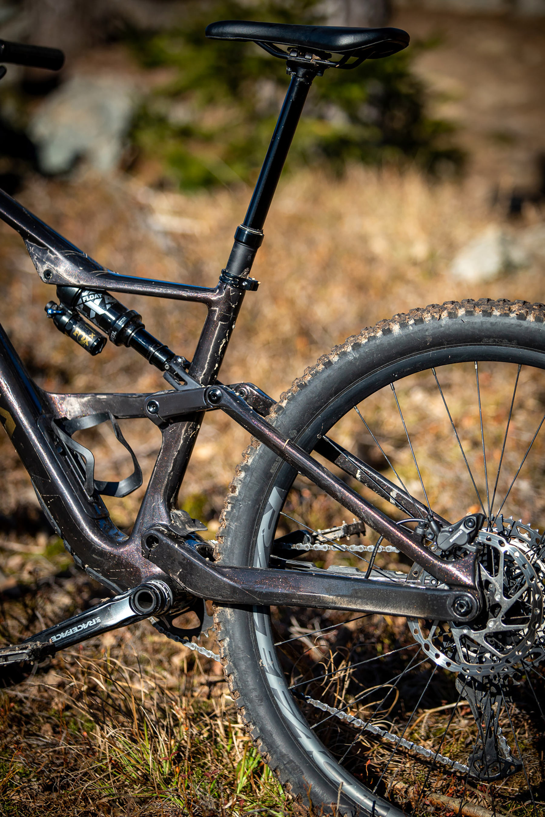 Orbea Rise LT & Occam LT