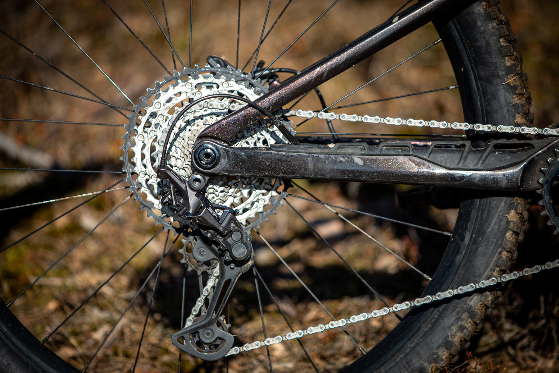 Orbea Rise LT & Occam LT