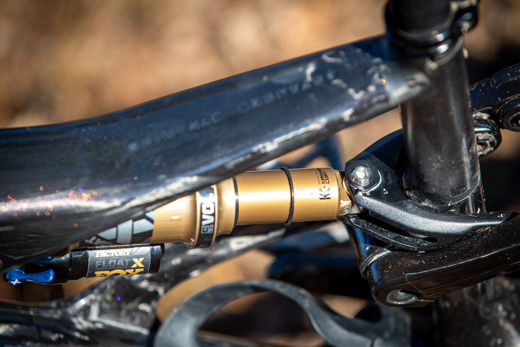 Orbea Rise LT & Occam LT