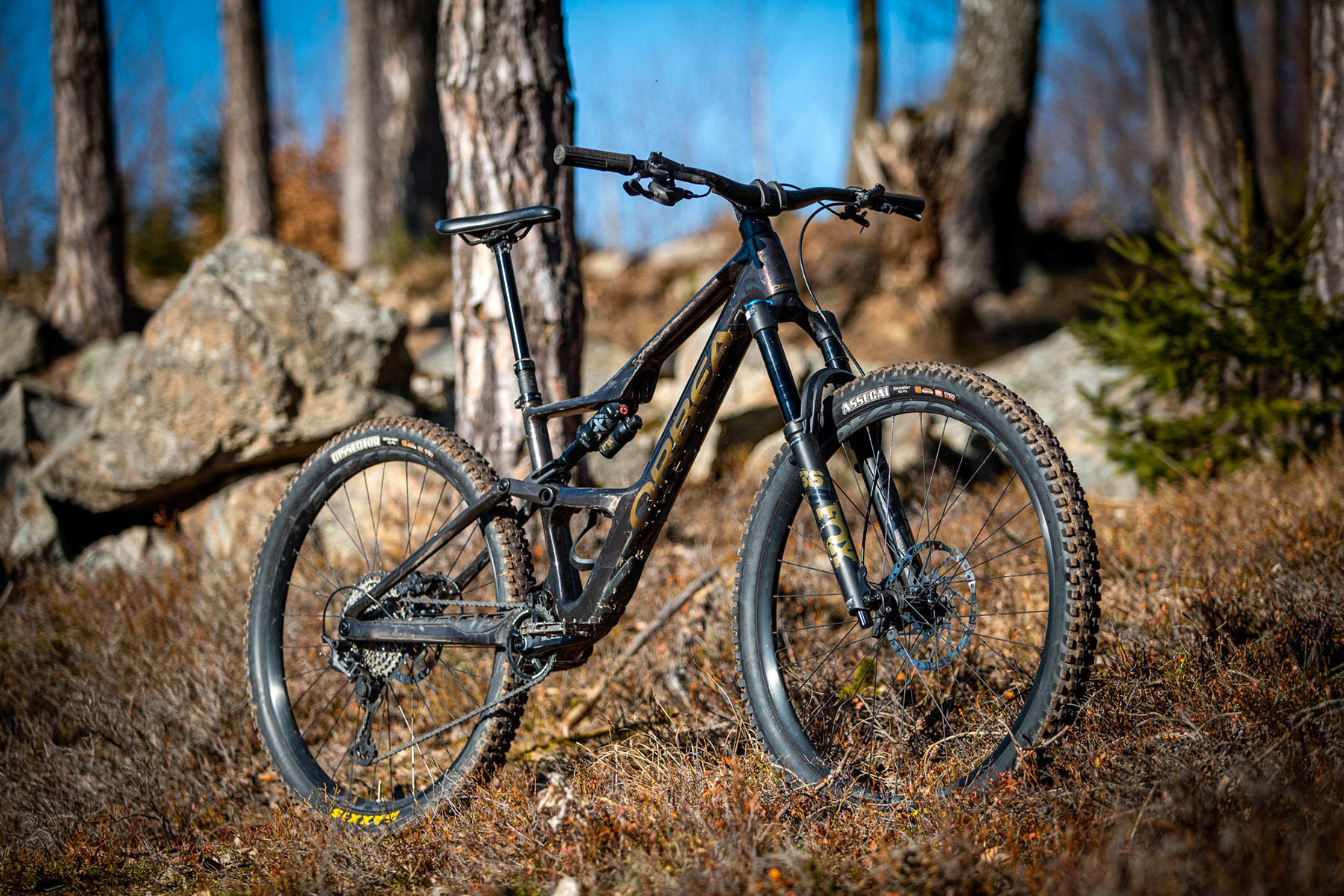 Orbea Rise LT & Occam LT