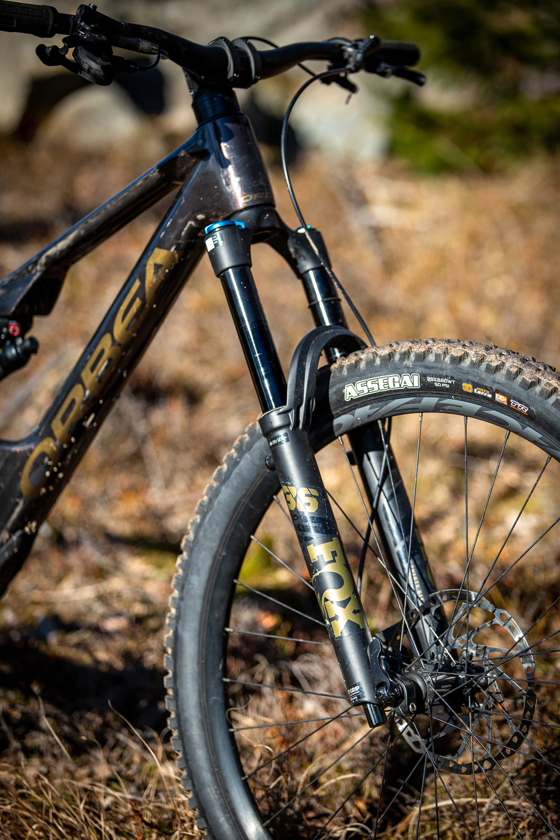 Orbea Rise LT & Occam LT