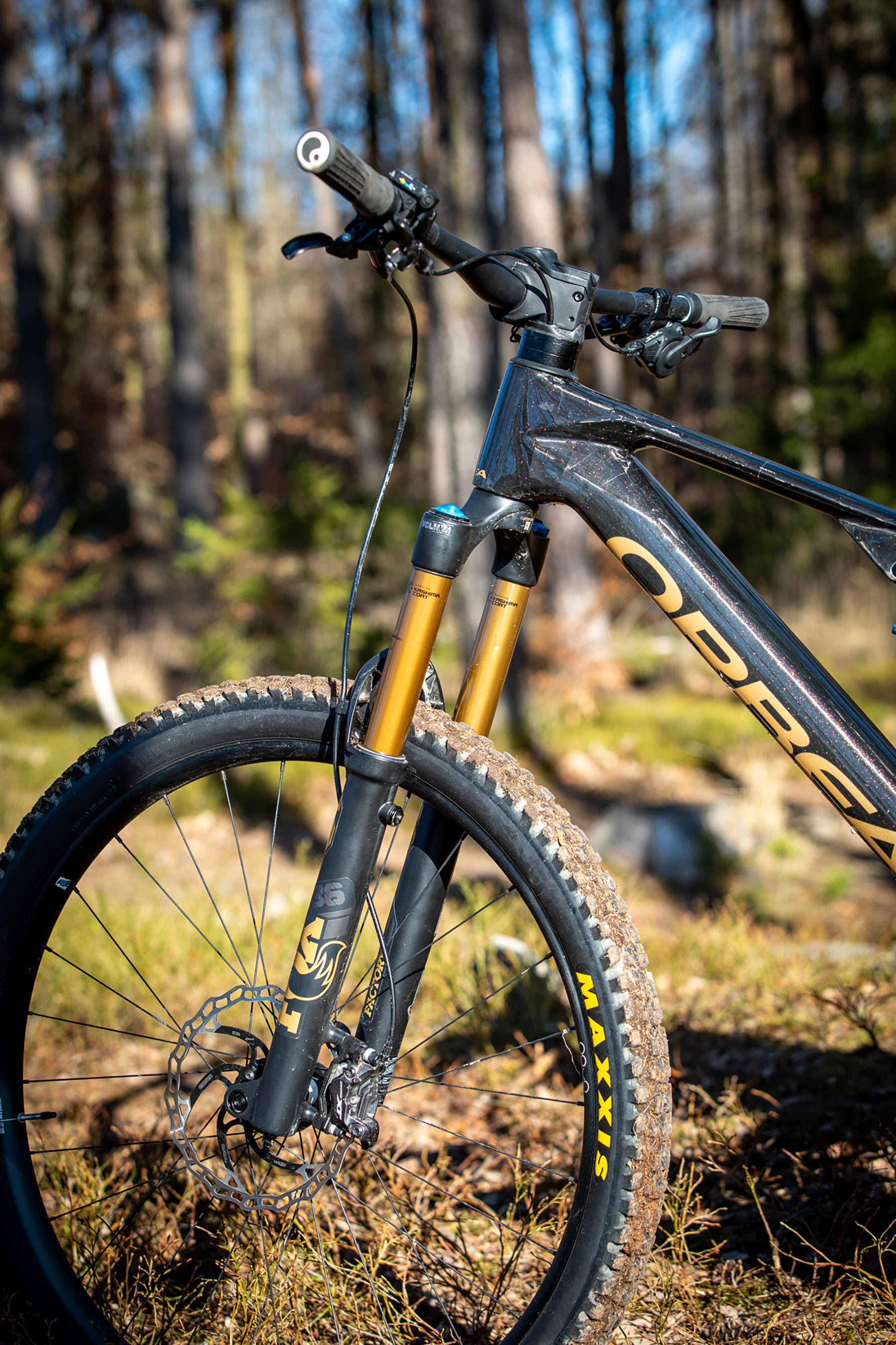 Orbea Rise LT & Occam LT