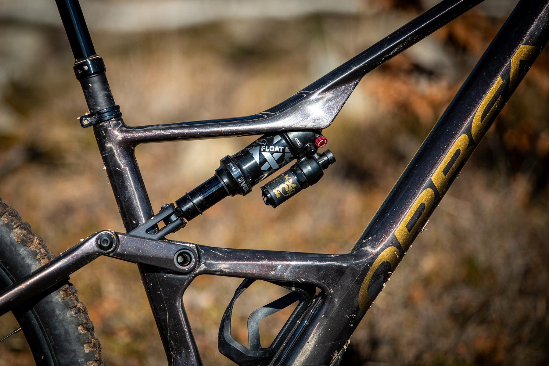 Orbea Rise LT & Occam LT