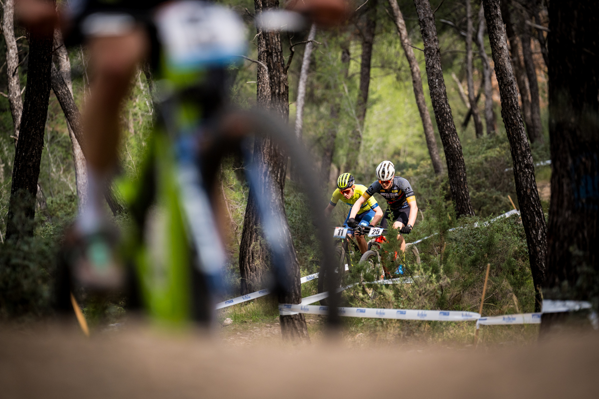 Salamina 2025 - esk rozjet