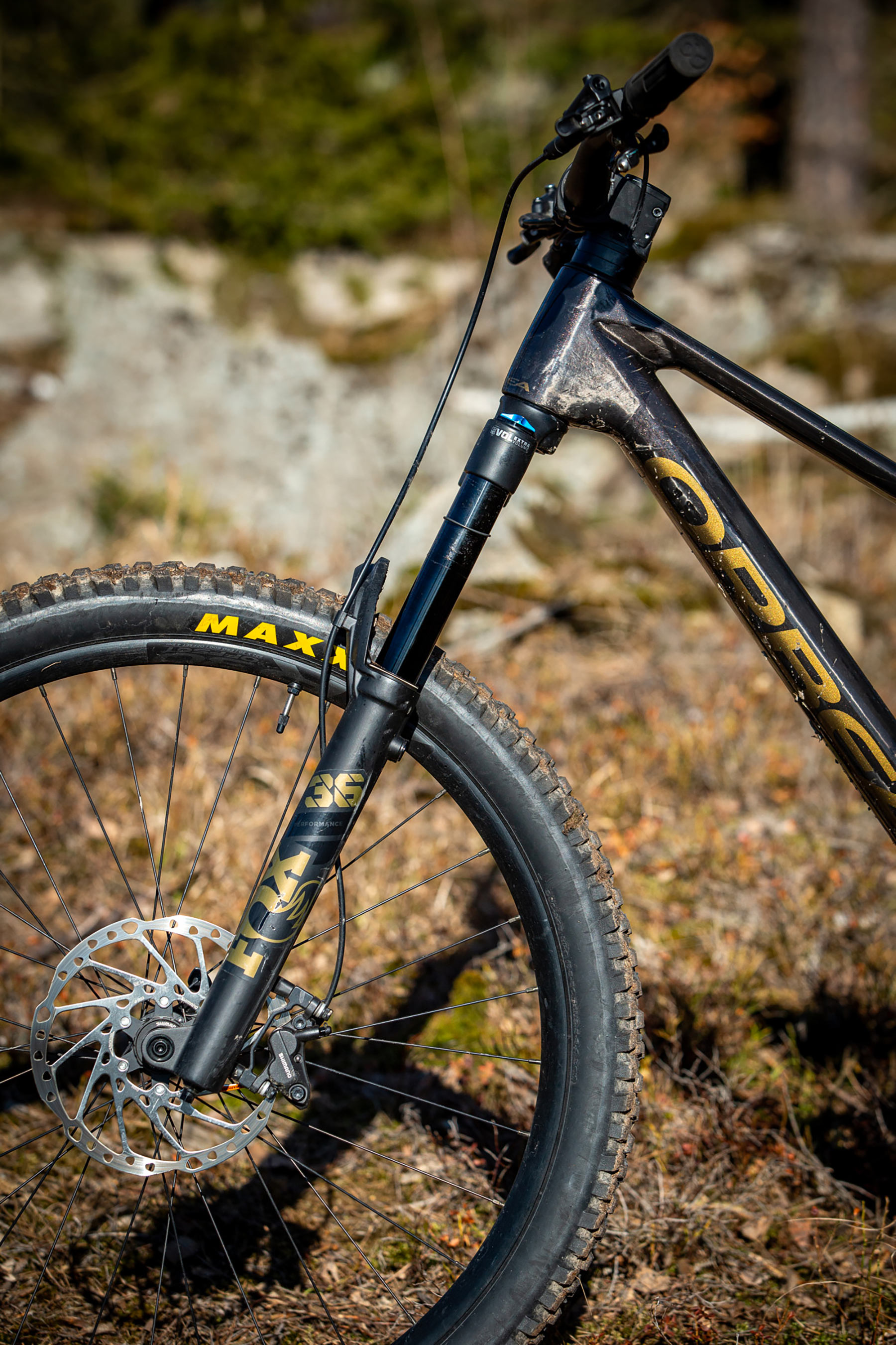 Orbea Rise LT & Occam LT