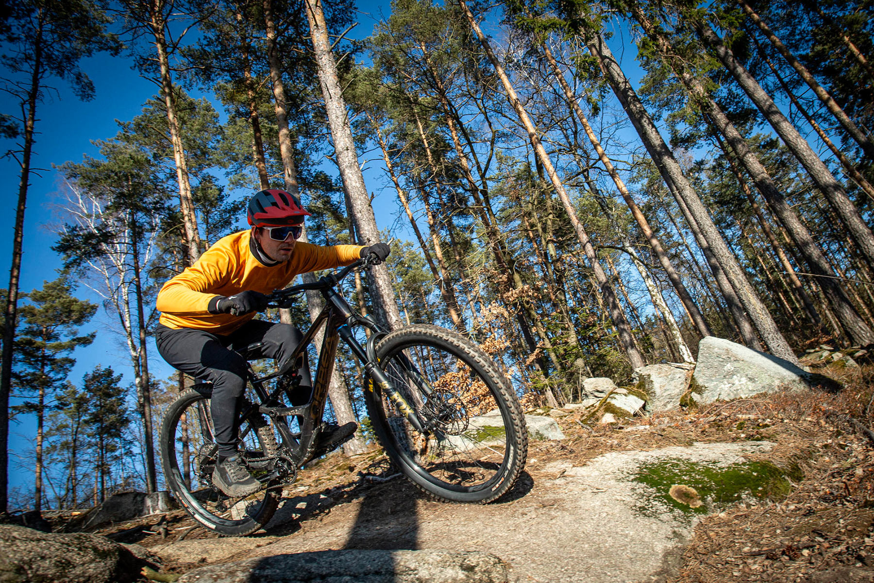 Orbea Rise LT & Occam LT