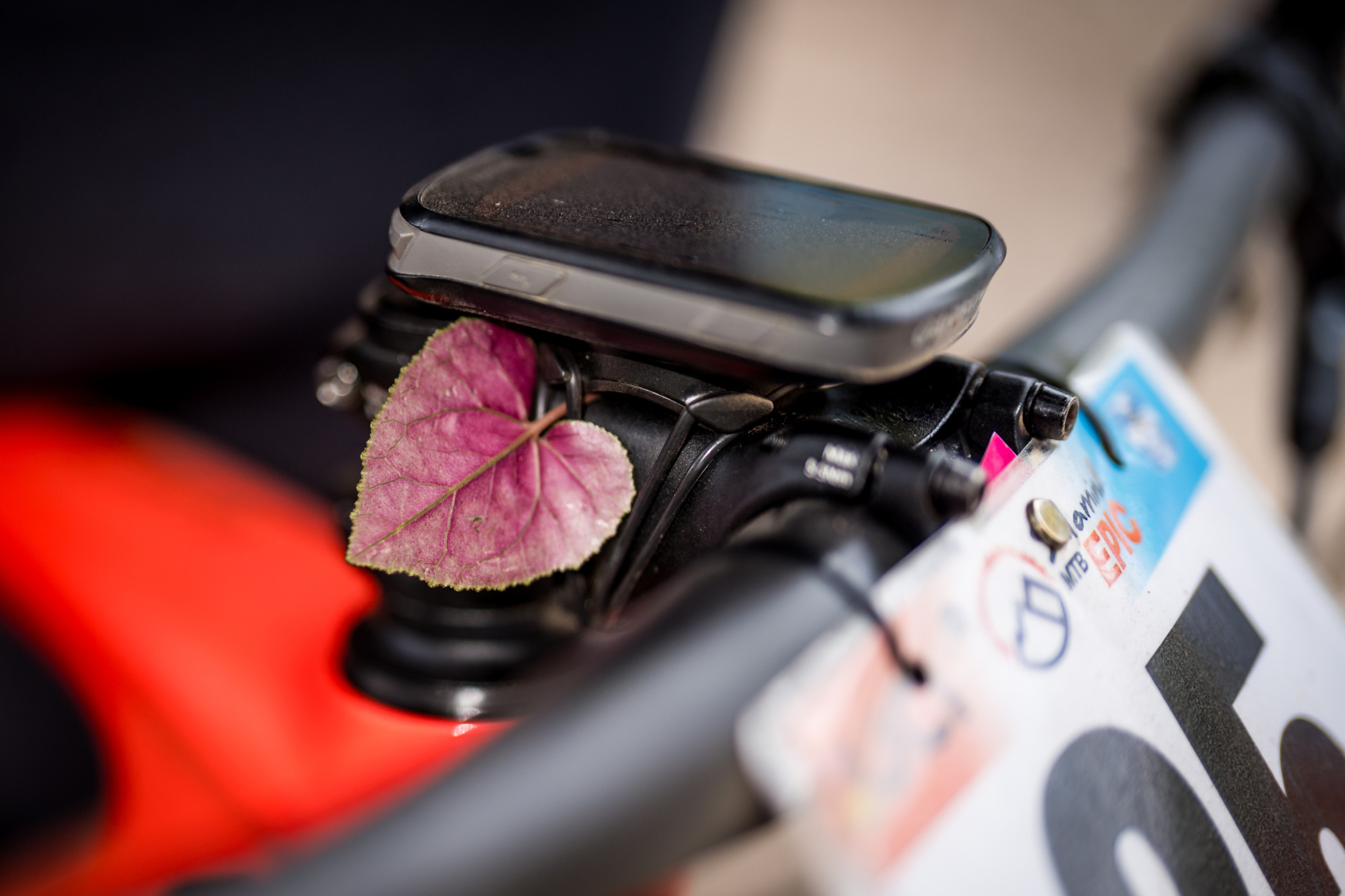 Salamina 2025 - esk rozjet