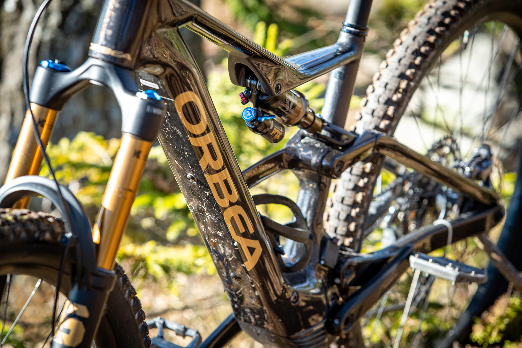 Orbea Rise LT & Occam LT