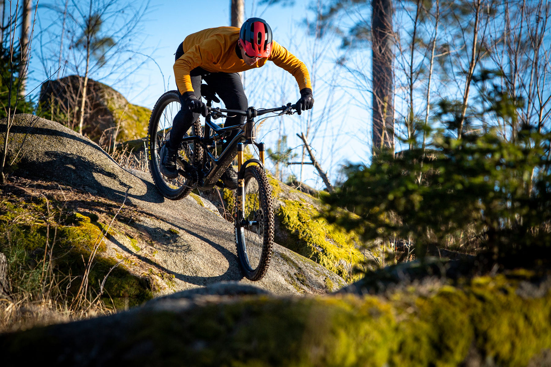 Orbea Rise LT & Occam LT