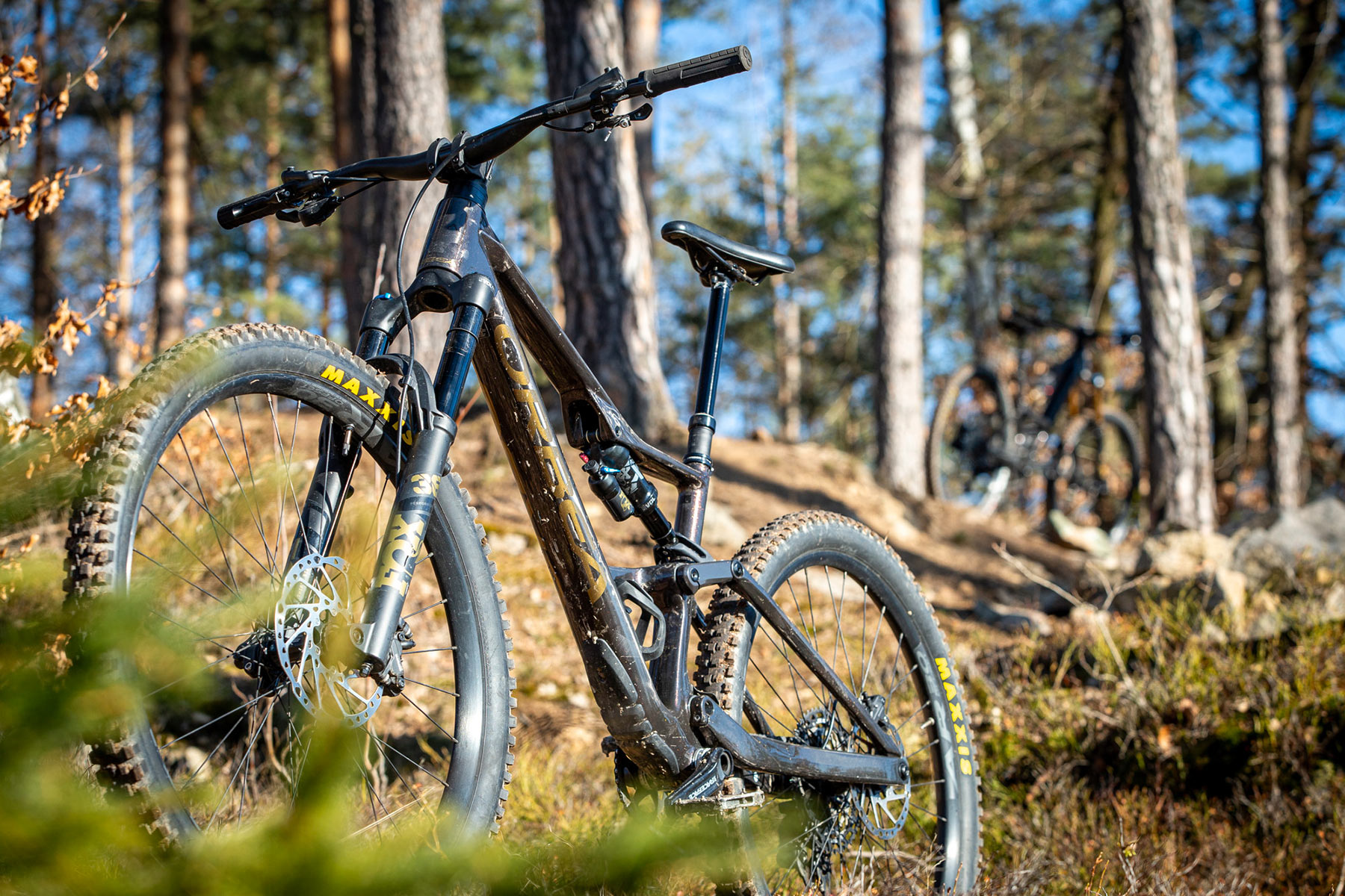 Orbea Rise LT & Occam LT