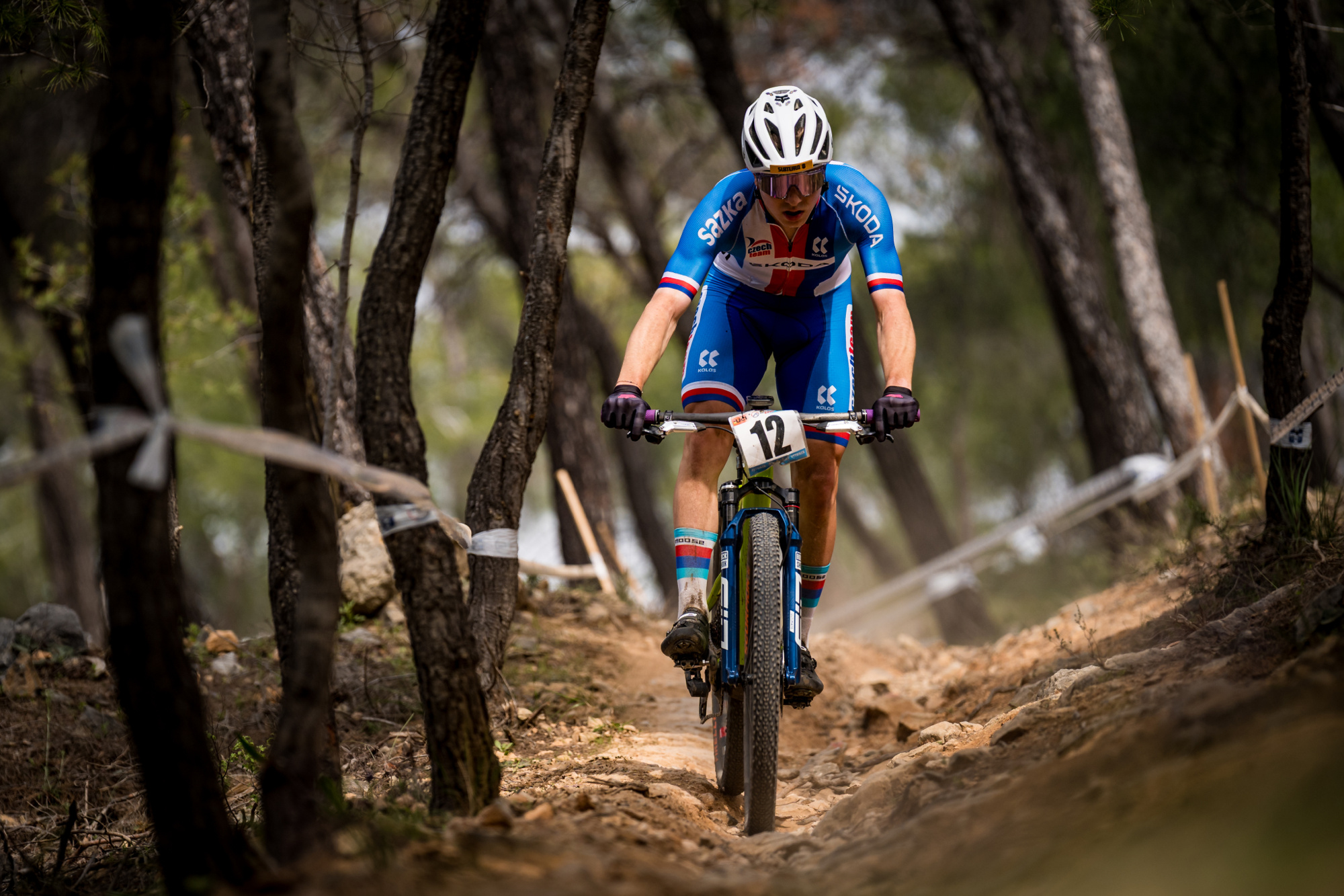 Salamina 2025 - esk rozjet