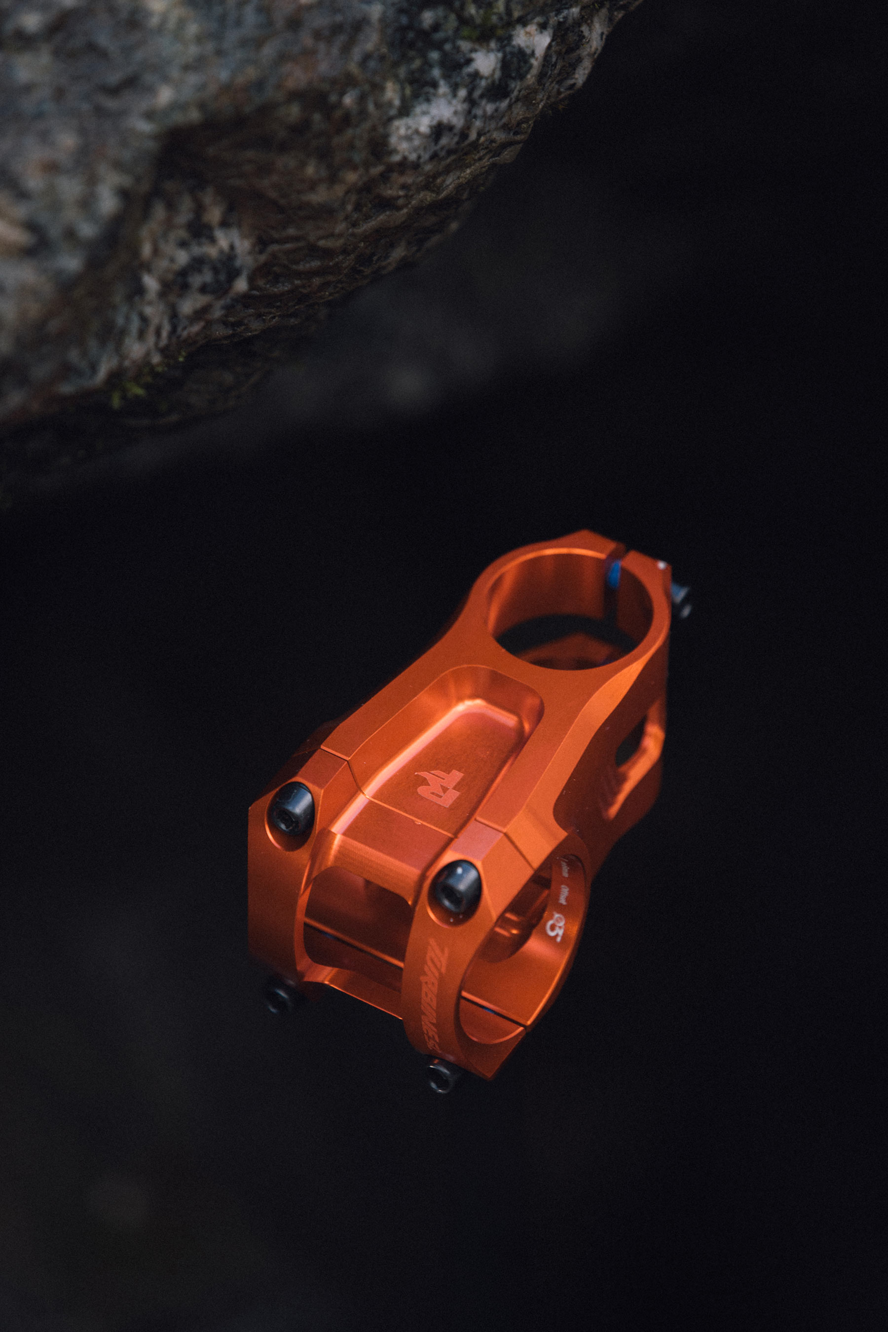 Race Face Turbine SL