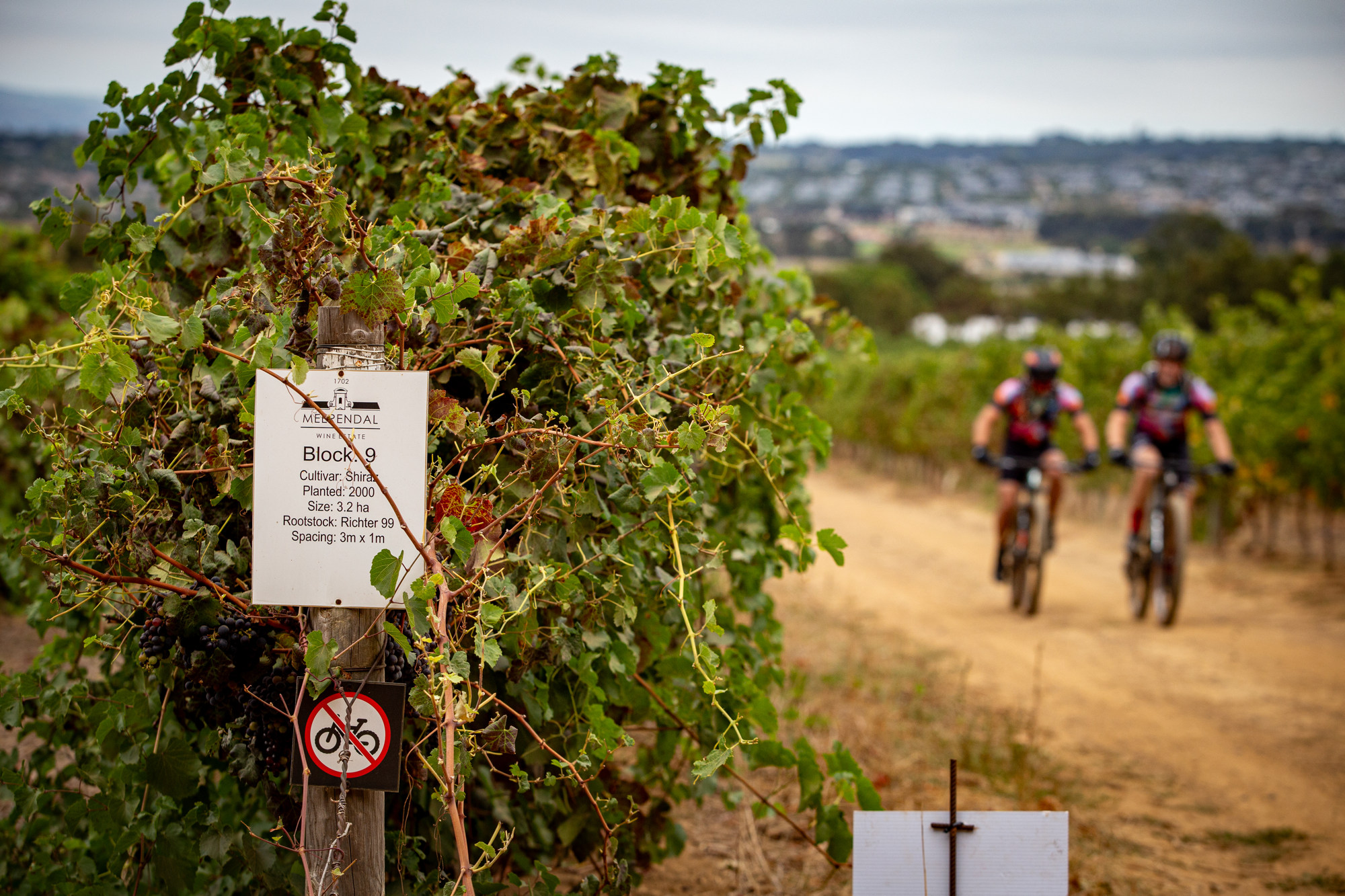Cape Epic 2025: ppravy, registrace, media day