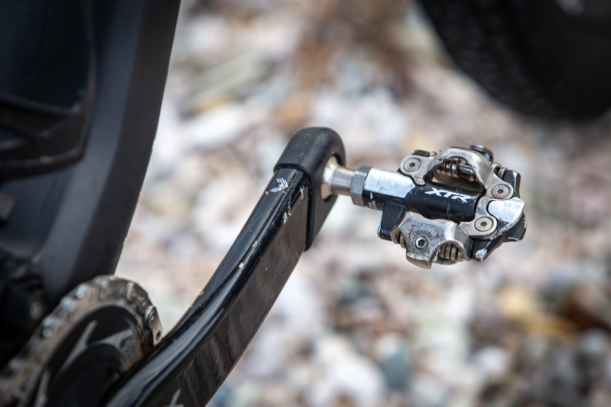 Bikecheck - Superior XF RC Filipa Adela