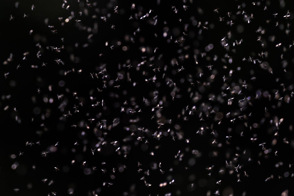 Malrie za 3...2...1...