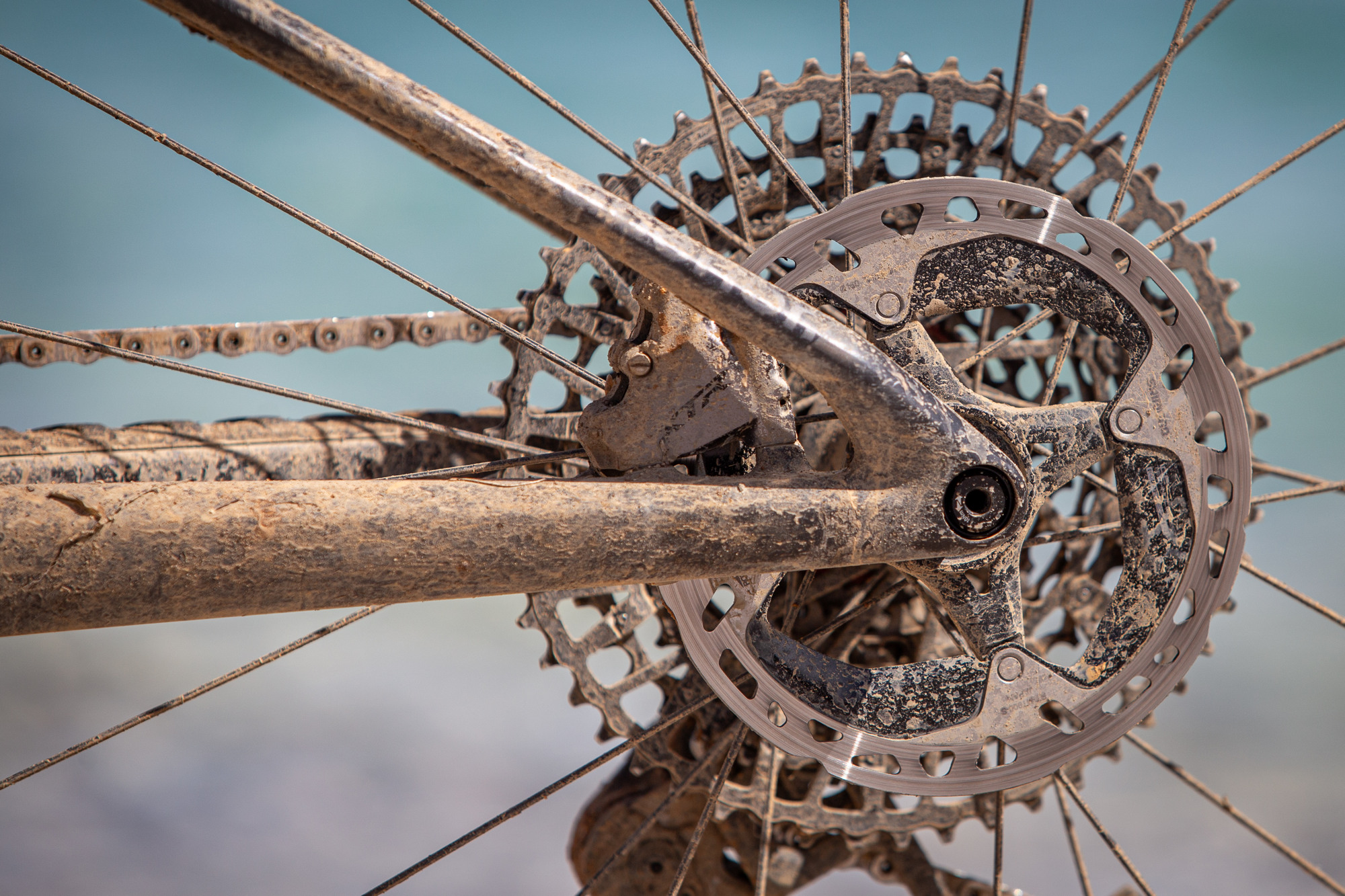 Bikecheck - Superior XF RC Filipa Adela